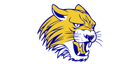 St Paul Wildcats Logo 